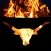 Fire Pit Art Longhorn Gas Fire Pit -Fire Pits Shop fire pit art longhorn gas fire pit 48