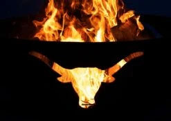 Fire Pit Art Longhorn Gas Fire Pit - Electronic Ignition -Fire Pits Shop fire pit art longhorn gas fire pit electronic ignition 50